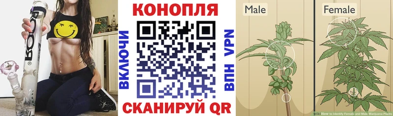 цены наркотик  Цимлянск  Бошки Шишки марихуана 